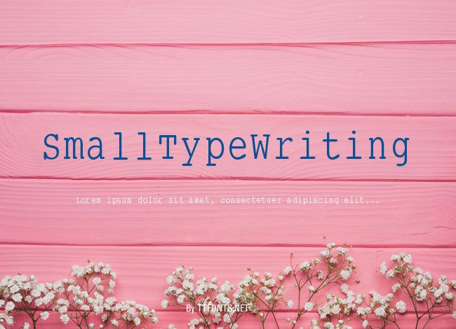 SmallTypeWriting example