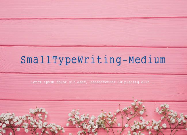 SmallTypeWriting-Medium example