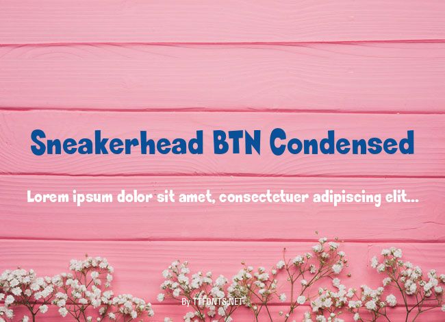 Sneakerhead BTN Condensed example