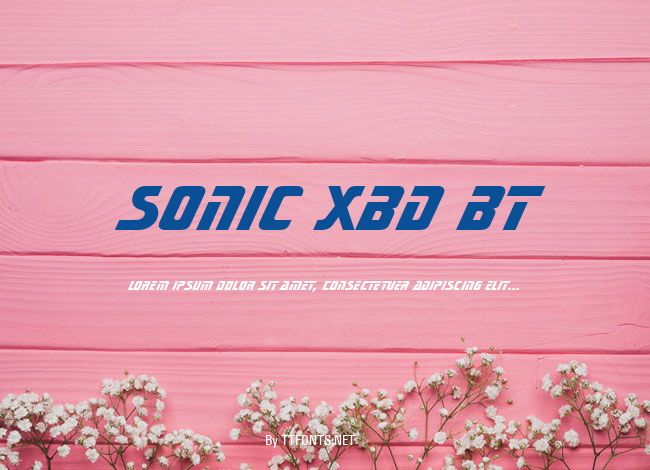 Sonic XBd BT example