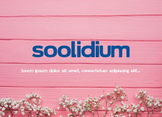 Soolidium example