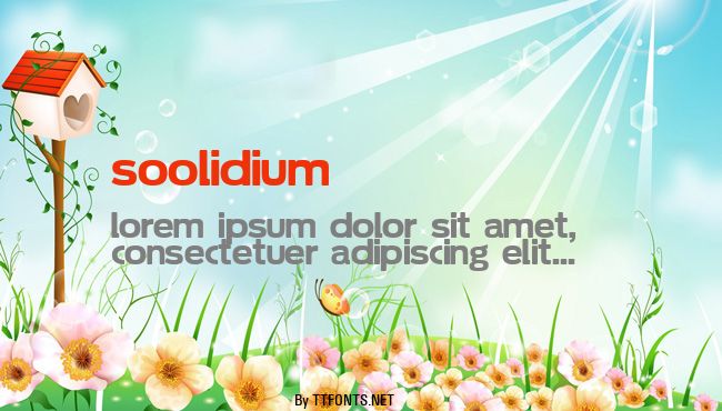 Soolidium example