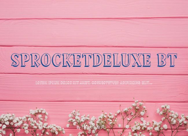 SprocketDeluxe BT example