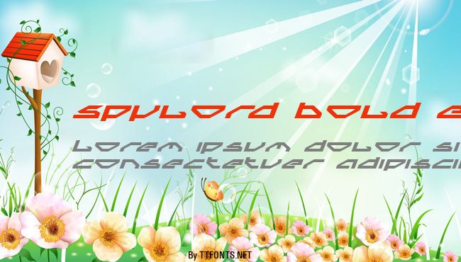Spylord Bold Expanded Italic example