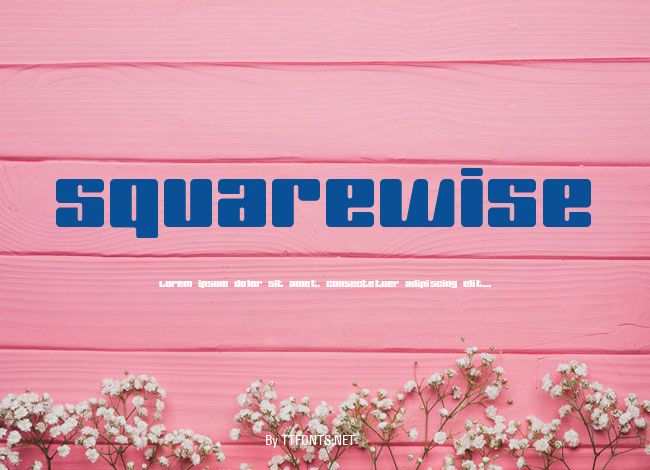 SquareWise example
