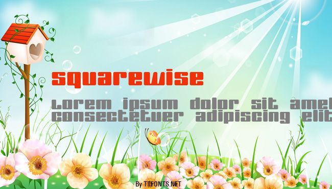 SquareWise example