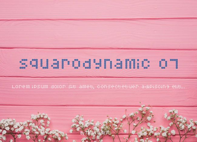 Squarodynamic 07 example