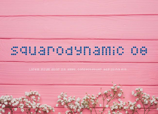 Squarodynamic 08 example