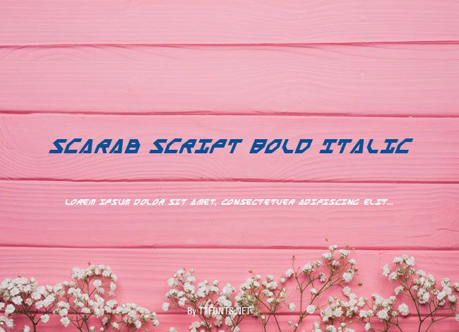 Scarab Script Bold Italic example