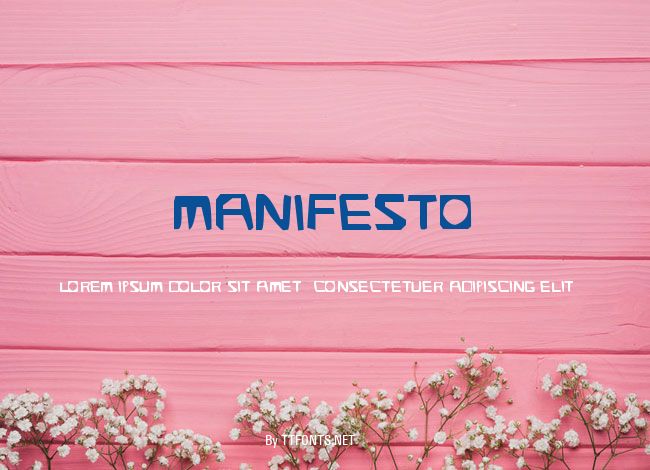 manifesto example