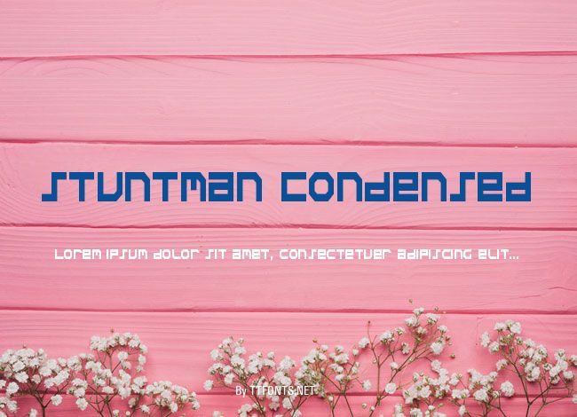 Stuntman Condensed example
