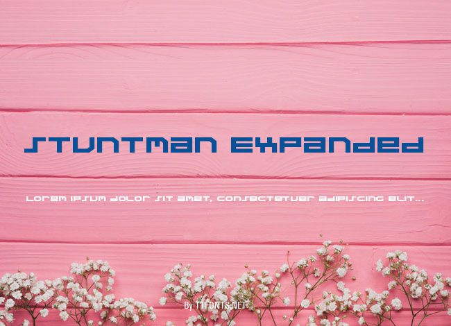 Stuntman Expanded example