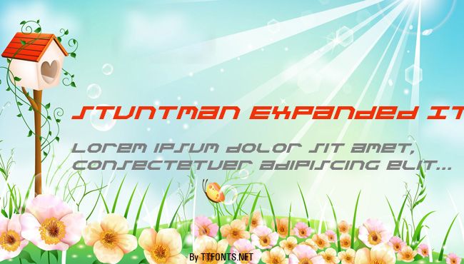 Stuntman Expanded Italic example