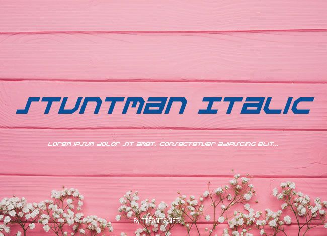 Stuntman Italic example