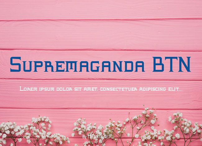 Supremaganda BTN example