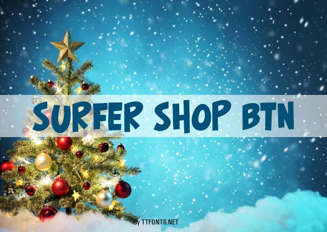 Surfer Shop BTN example