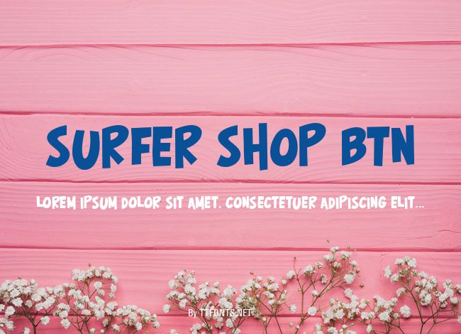 Surfer Shop BTN example