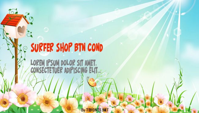 Surfer Shop BTN Cond example