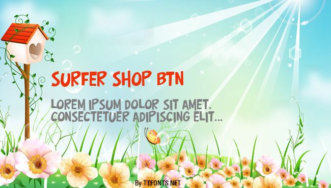 Surfer Shop BTN example