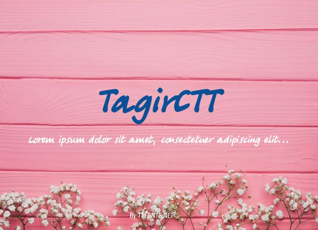 TagirCTT example