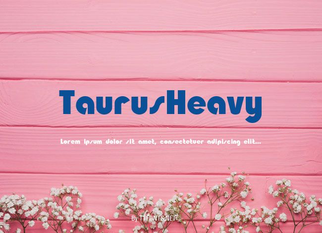 TaurusHeavy example