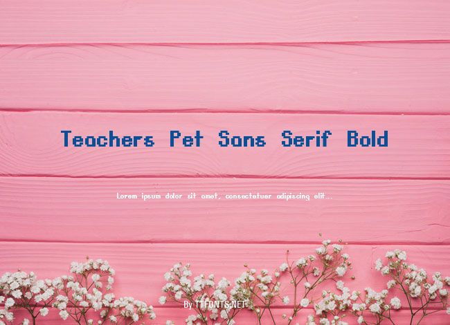 Teachers Pet Sans Serif Bold example