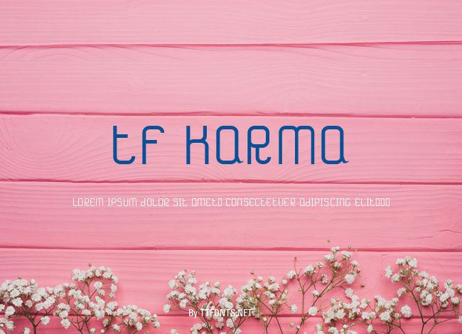 TF_Karma example