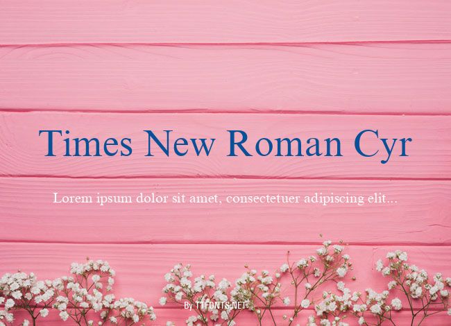 Times New Roman Cyr example