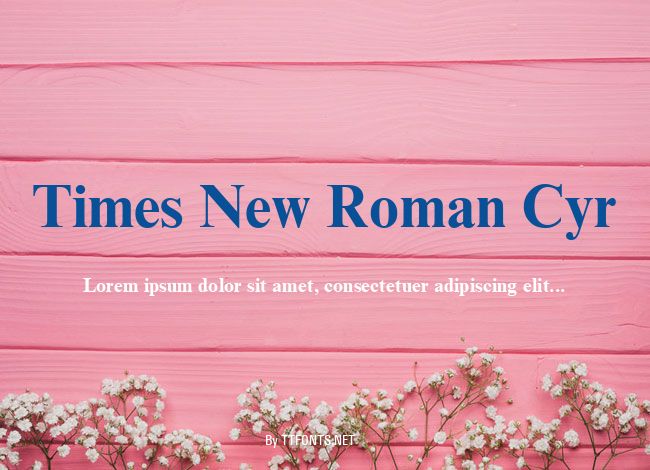 Times New Roman Cyr example