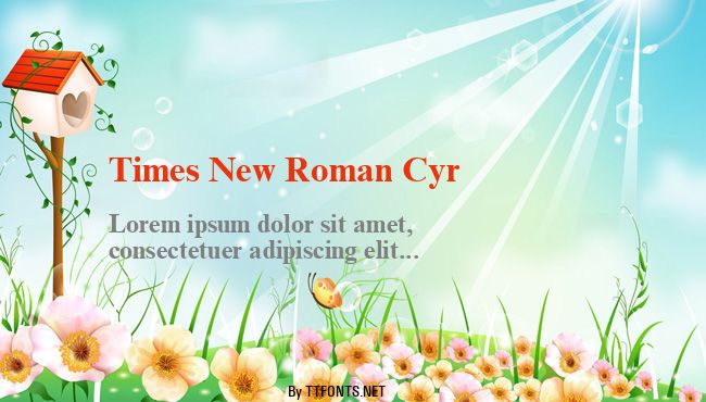 Times New Roman Cyr example