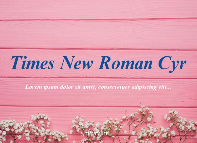 Times New Roman Cyr example