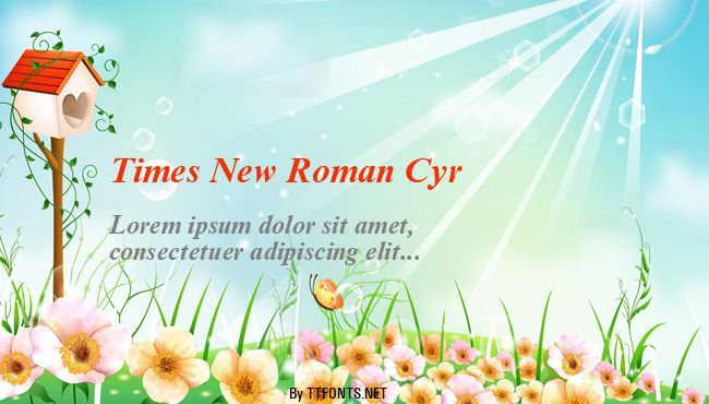 Times New Roman Cyr example