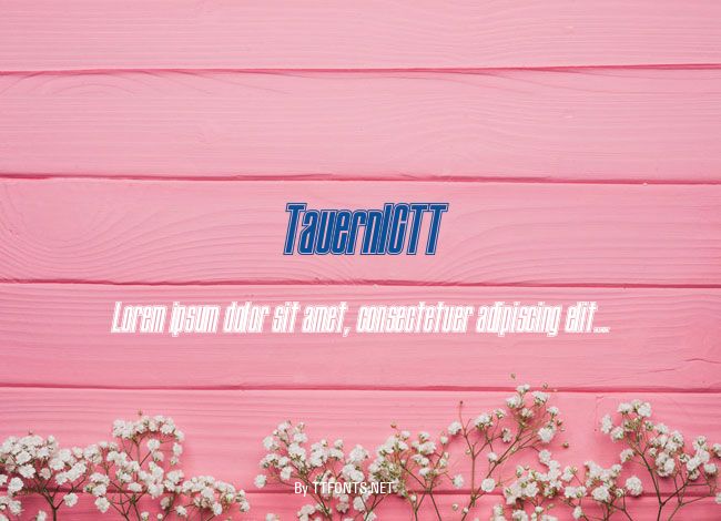 TauernICTT example