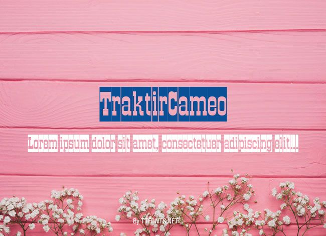 TraktirCameo example