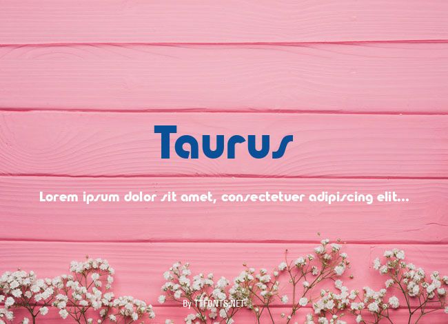 Taurus example