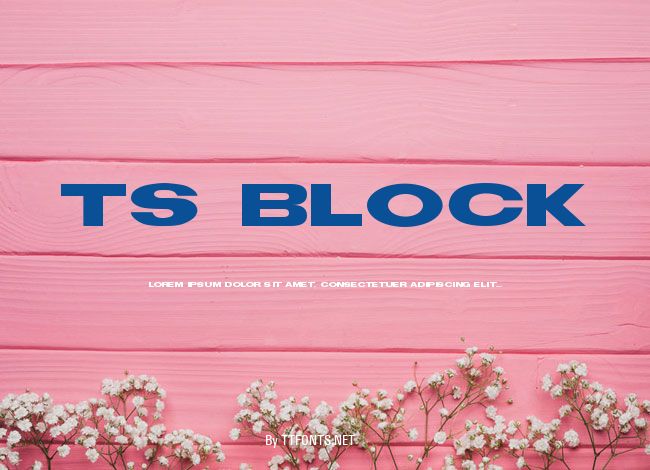 TS Block example