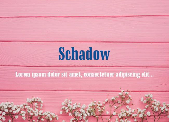 Schadow example
