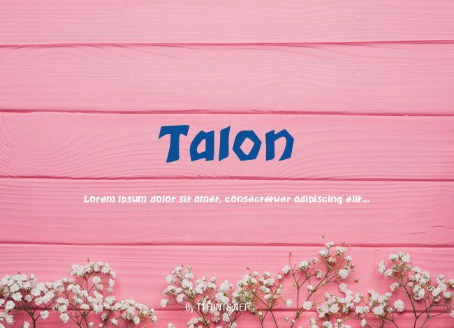 Talon example