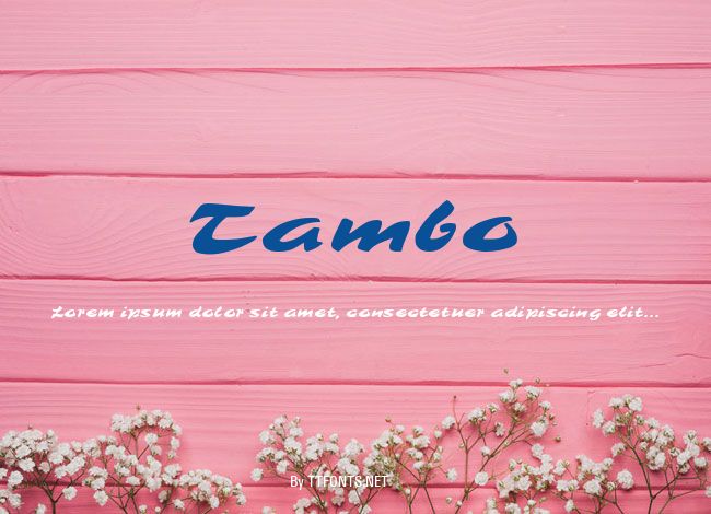 Tambo example