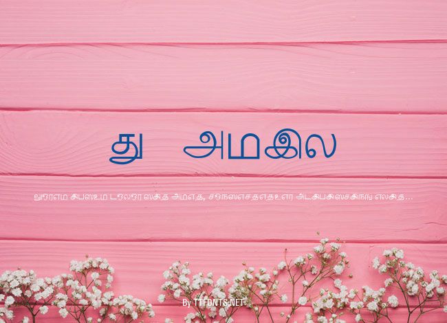 Tamil example