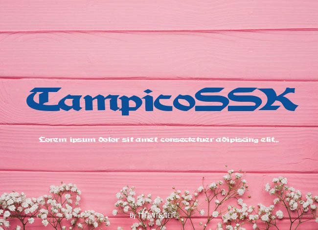 TampicoSSK example
