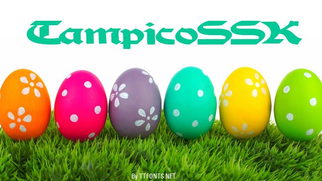 TampicoSSK example