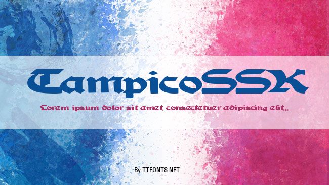 TampicoSSK example