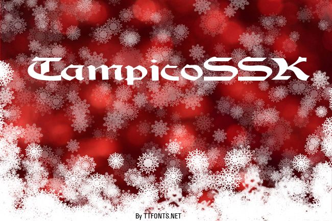 TampicoSSK example