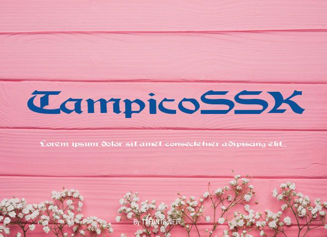 TampicoSSK example