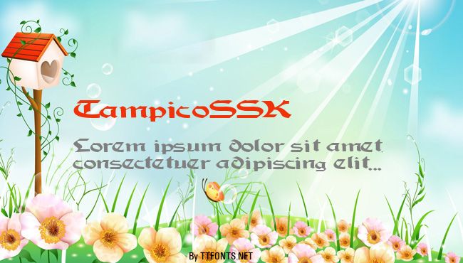 TampicoSSK example