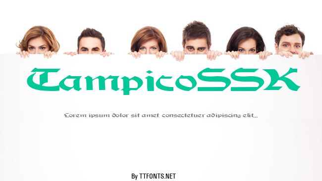 TampicoSSK example