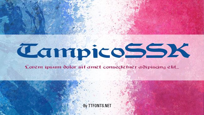 TampicoSSK example