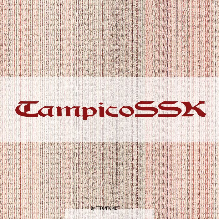 TampicoSSK example