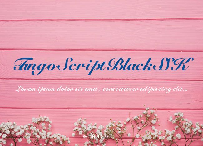 TangoScriptBlackSSK example